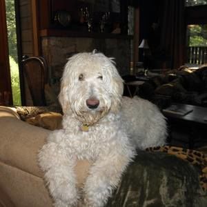 Meet your Posher, Achristine